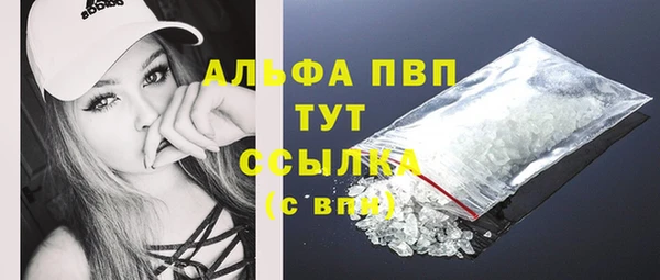 молекула духа Балахна