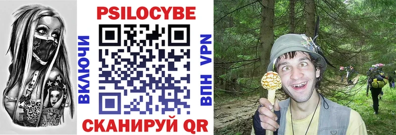 Псилоцибиновые грибы Psilocybine cubensis  маркетплейс формула  Спас-Деменск  купить наркотики цена 